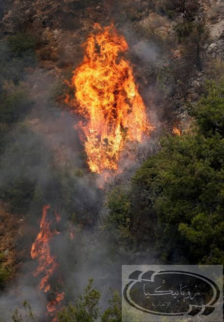 أخبار | حرائق بلبنان لبنان تحترق وقتلى ومصابين 
