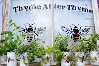 http://www.pillarboxblue.com/upcycled-window-herb-planter/