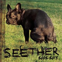 [2013] - Seether 2002-2013 (2CDs)