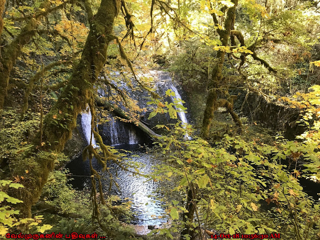 Lower North Falls in Trail of Ten Falls Oregon