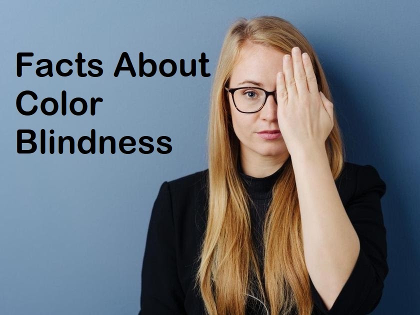 23 Facts About Color Blindness