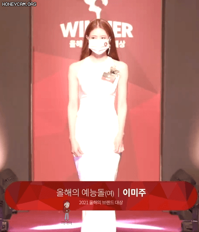 드레스 미주    올해의 예능돌