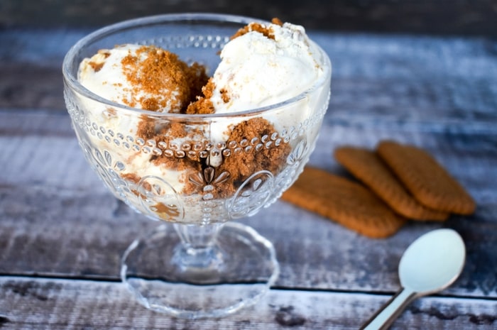 Ninja Creami Easy Biscoff Ice Cream