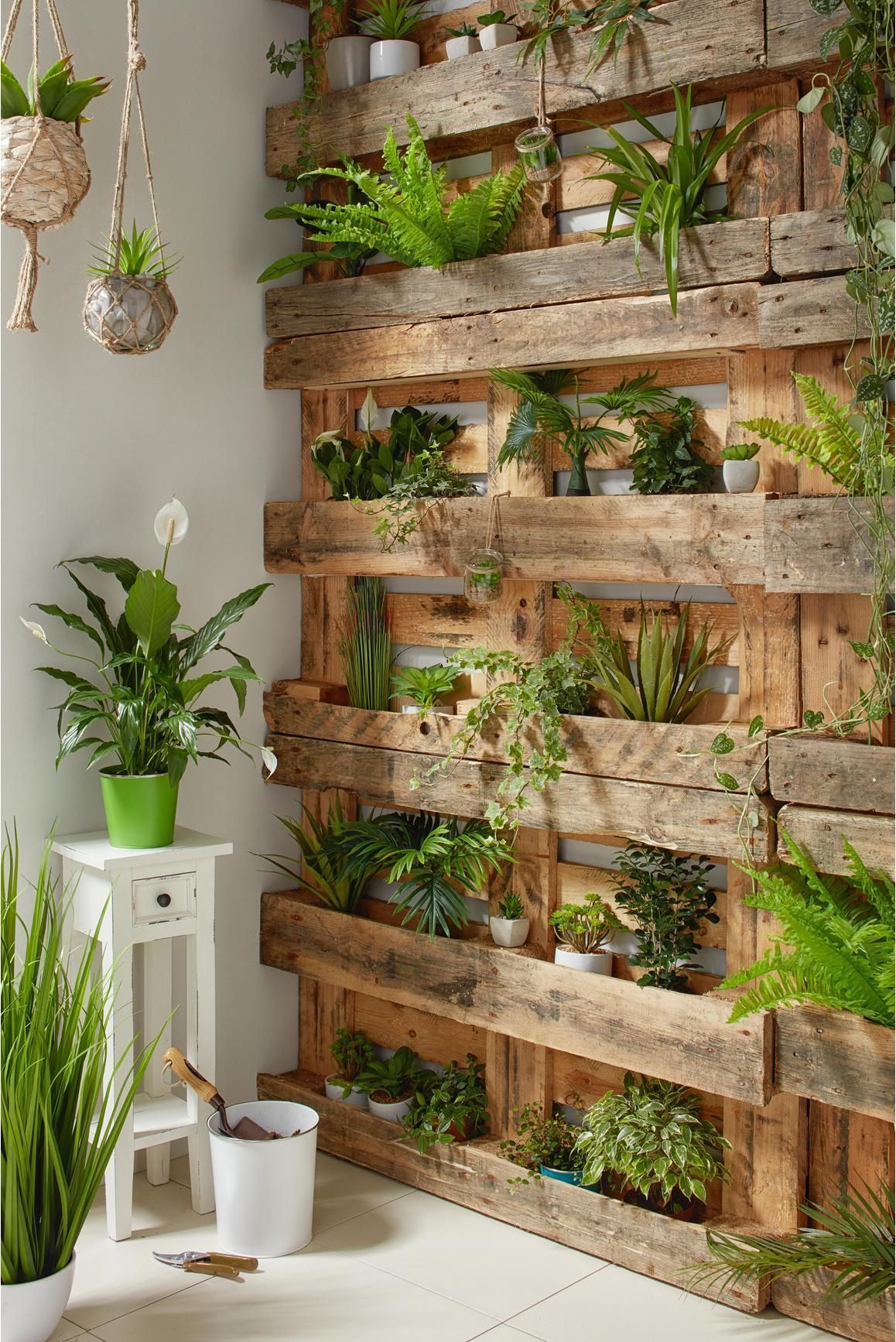 Полка для растений. Декор стен полками с растениями. Стеллаж для растений. Вертикальный сад на балконе.