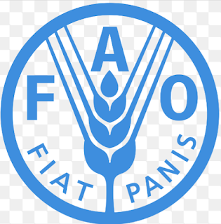 FAO FAO logo