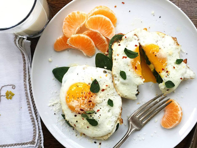 High Protein Food High Protein Food