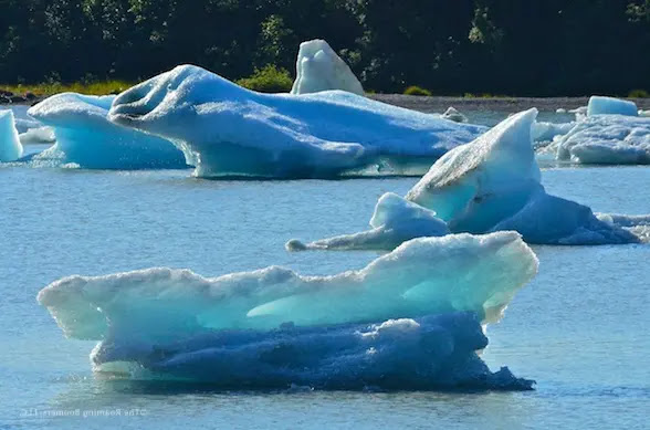Mendenhall Glacier in Juneau, Alaska Mendenhall Glacier in Juneau, Alaska