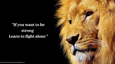 Brave lion Quotes