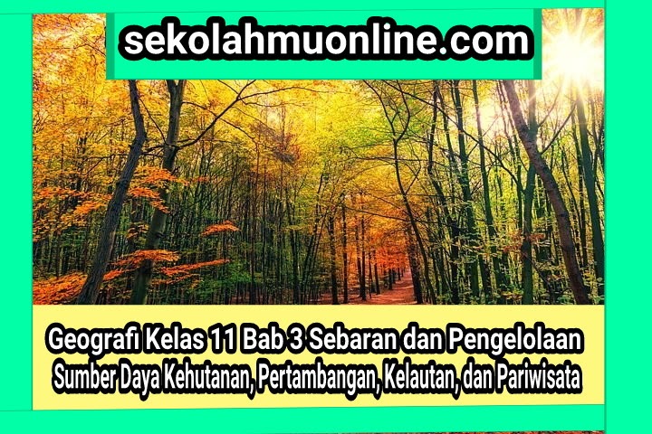 Soal Pilihan Ganda Geografi Kelas 11 Bab 3 Sebaran Dan Pengelolaan Sumber Daya Kehutanan Pertambangan Kelautan Dan Pariwisata Sekolahmuonline Com Sekolahmuonline