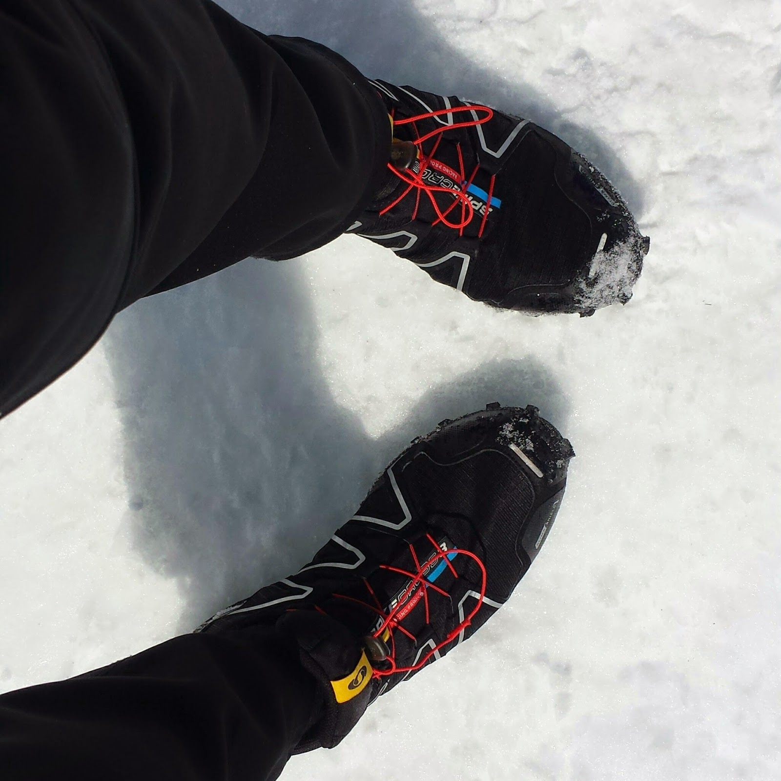 salomon snowcross spike