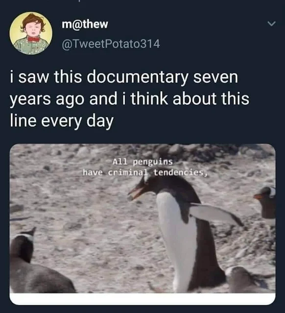 Penguins