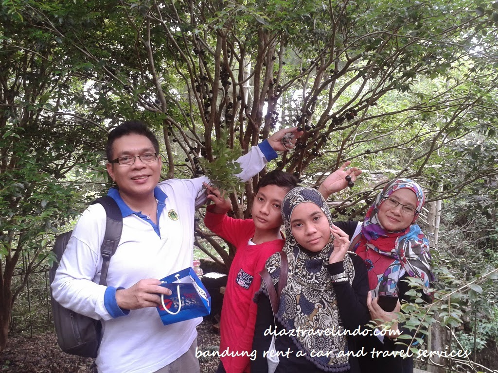 Mr. Husni and family car hire at bandung