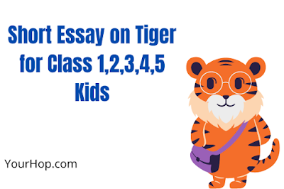 Essay on Tiger