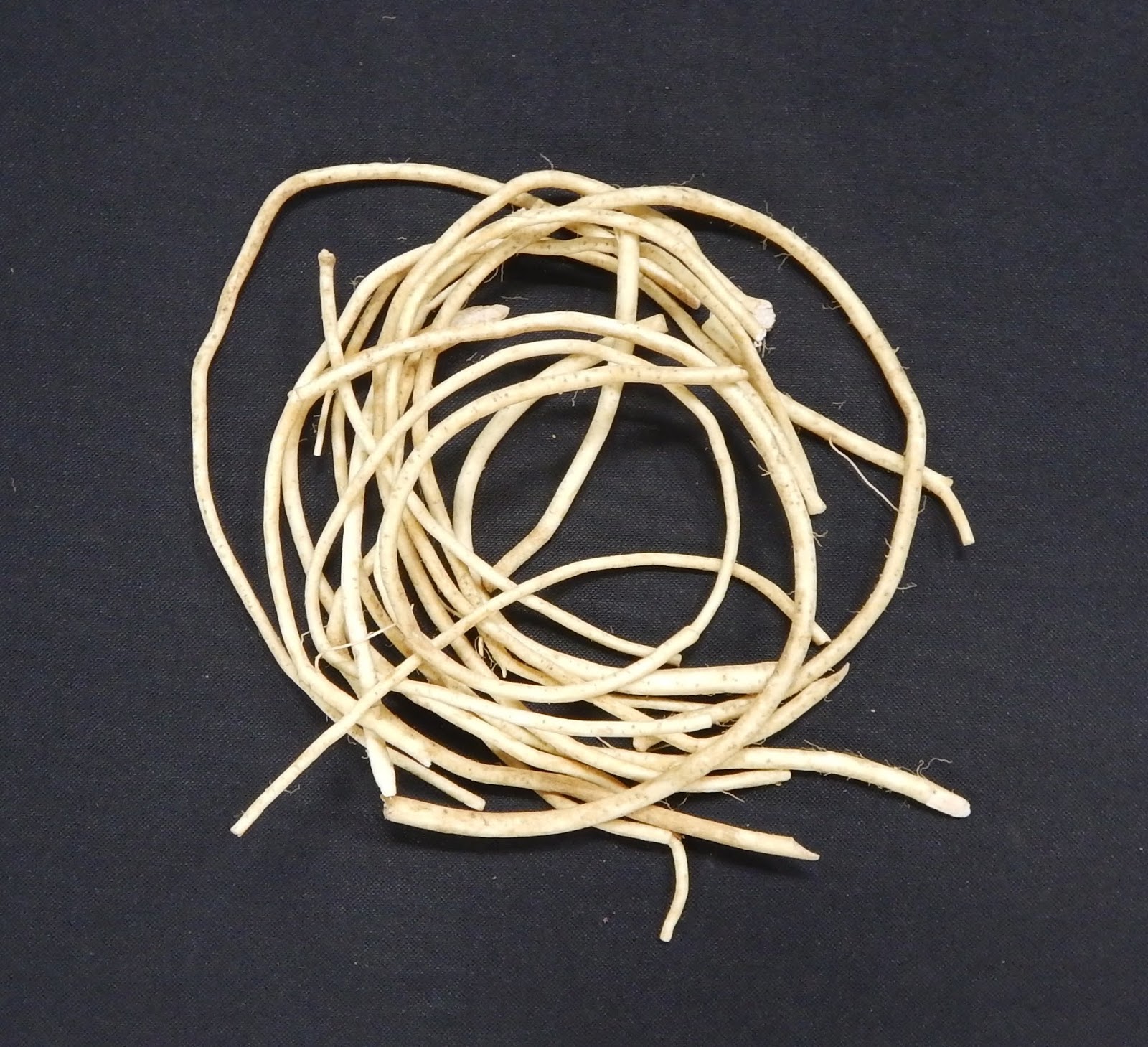 Harmony Valley Farm 2019