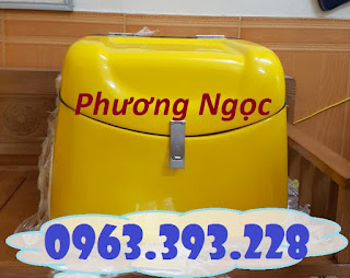 Thùng giao hàng trung 2, thùng chở hàng có mút cách nhiệt, thùng chở hàng 87be95a6709b92c5cb8a%2B-%2BCopy