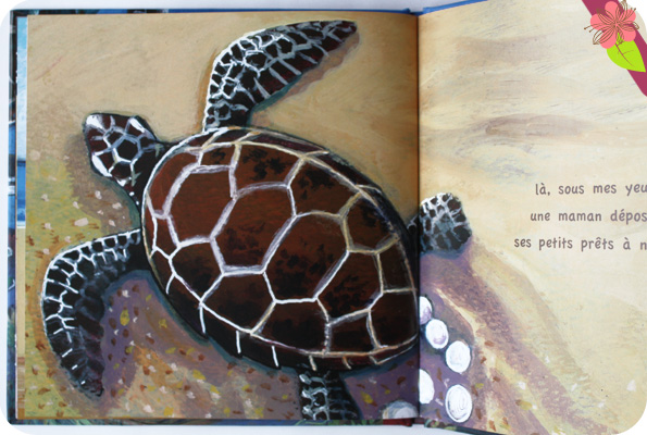 Les tortues de la baie de Catherine Laurent et Bénédicte Nemo - éditions Cépages