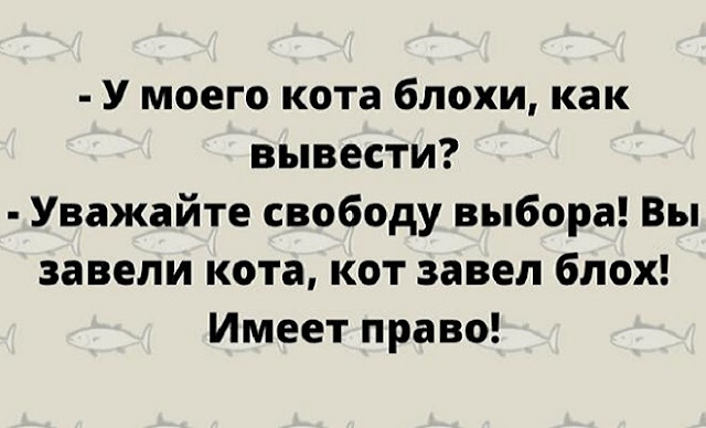 Искрометный юмор для солнечного настроения в пасмурные дни!