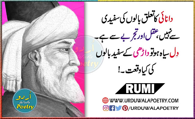 Rumi Wisdom Quotes in Urdu, Love Quotes by Rumi, Maulana Rumi Quotes about White Beard