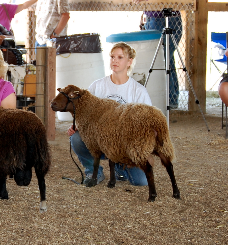 Crosswinds Farm Wisconsin Sheep and Wool festival