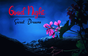 New Good Night Images HD Wallpaper Pics Photos Pictures Download