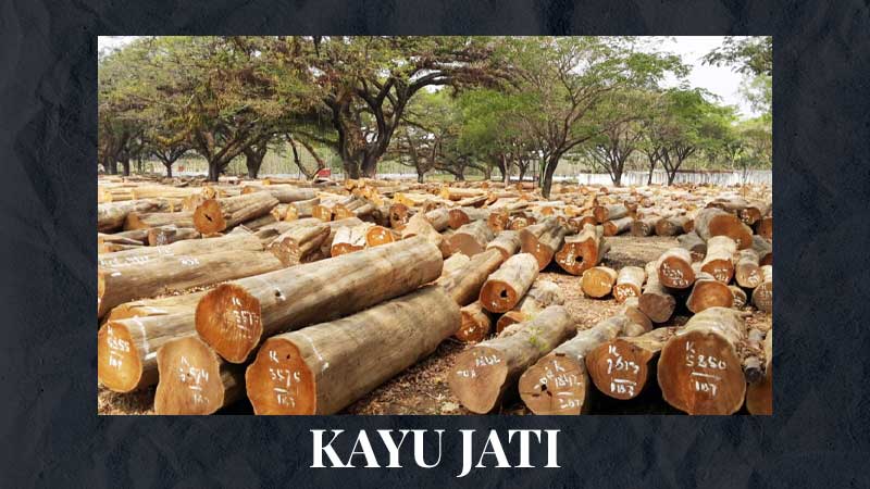 Jenis Jenis Kayu Terbaik Dan Kegunaannya Rajawali Parket Indonesia Jenis Jenis Kayu Terbaik Dan Kegunaannya Rajawali Parket Indonesia