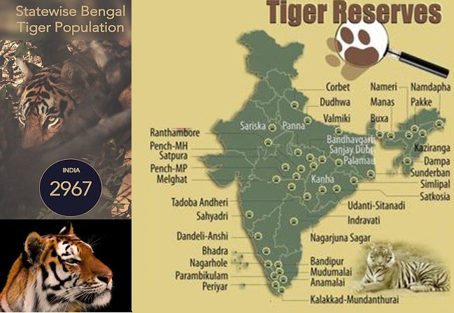 Tiger+Reserves+of+India