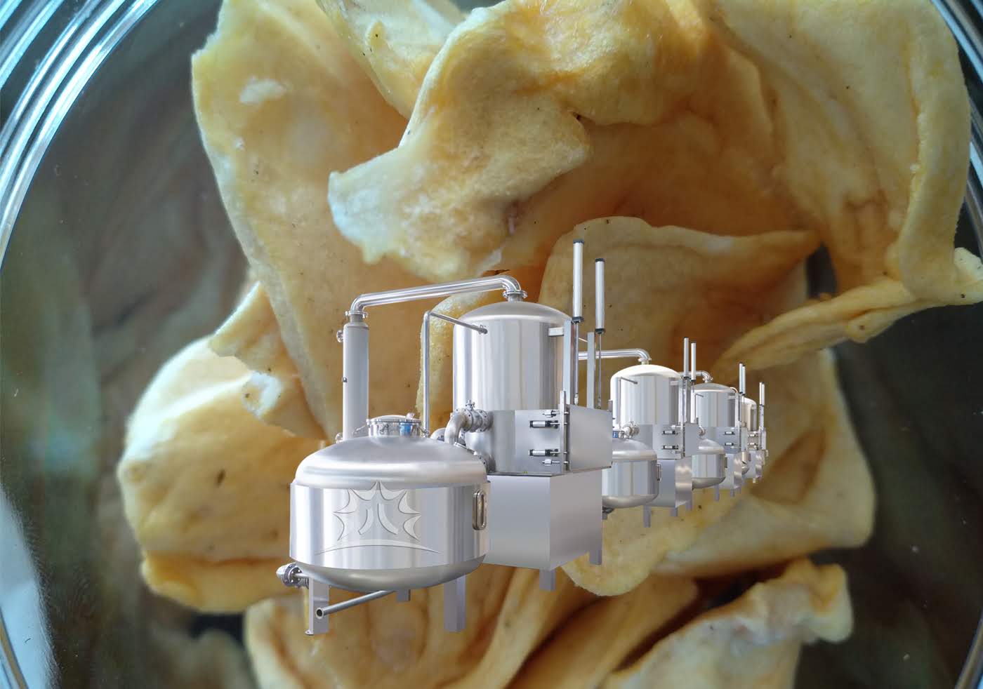 Vacuum fryer Commercial Vacuum Fried Chips Machine With Automatic De