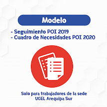 POI 2019 Y POI 2020 SEDE UGEL SUR