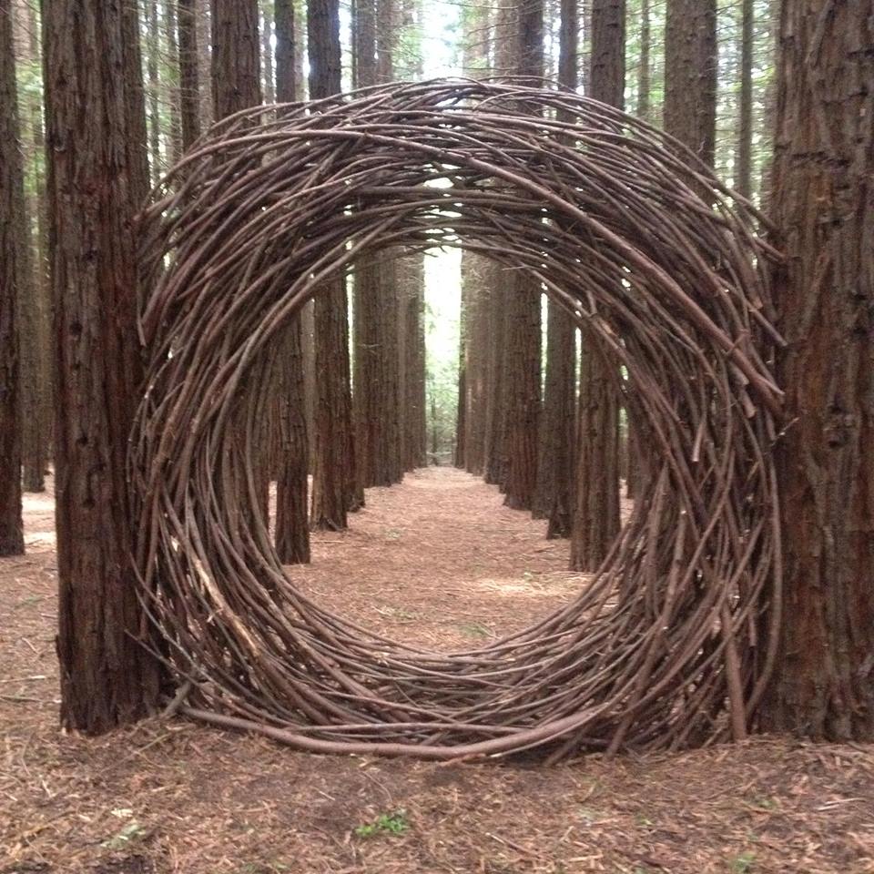 Fun, Factual, Weird, and Breathtaking Nature's Art From Wild & Woven