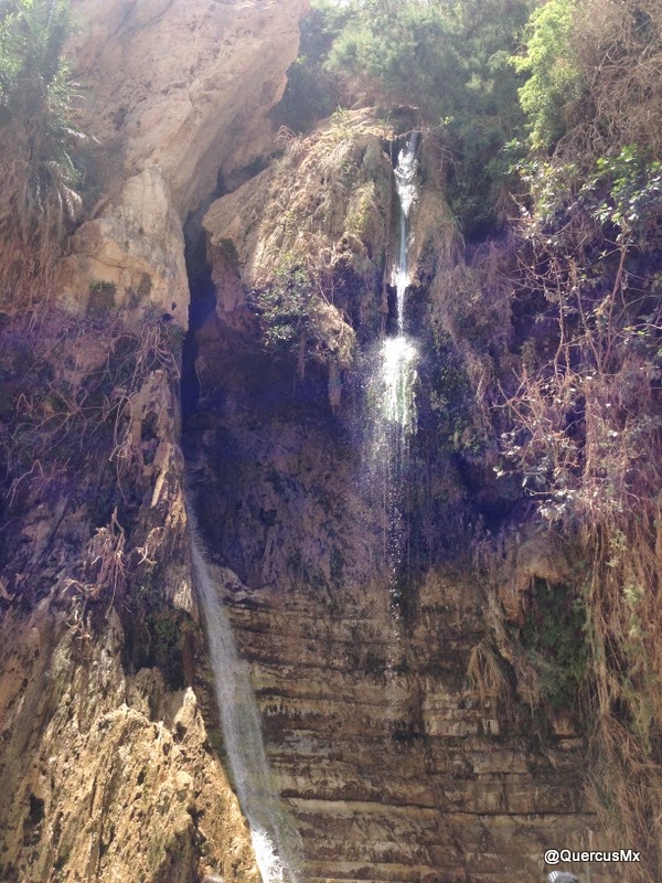 Cascada de David en Wadi David