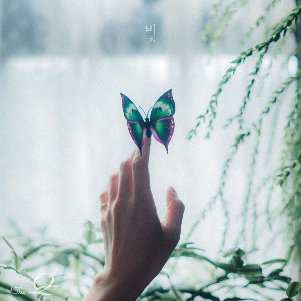 The Q – The Light in the Dark – Single