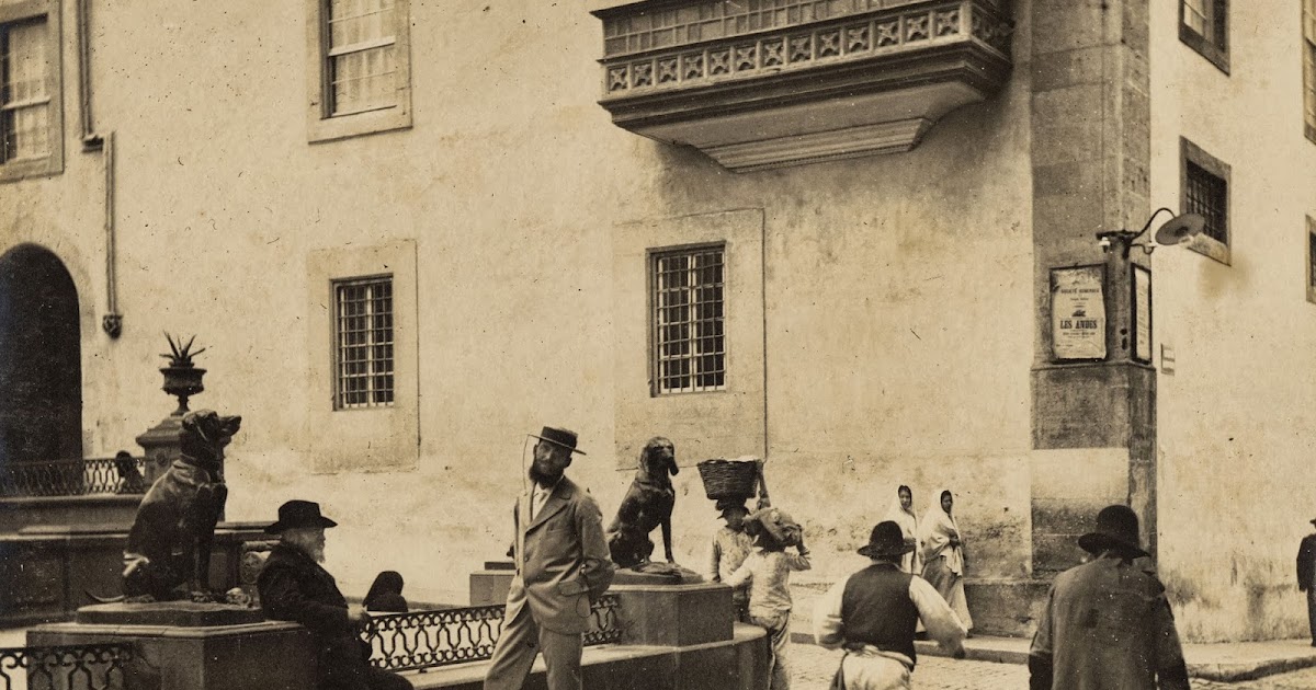 TonyOlympus. TonyOlympus.