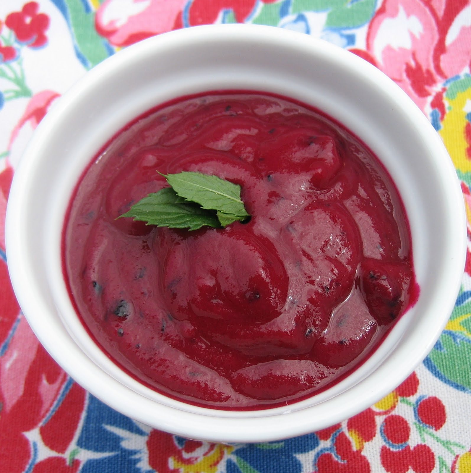 Pureed Pzazz Chilled Beet and Blueberry Soup