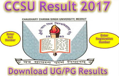 CCSU Result 2017 CCSU Result