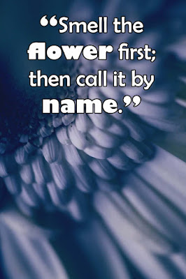 Inspirational Flower Quotes - Cute Flower Quotes - Short Flower Quotes