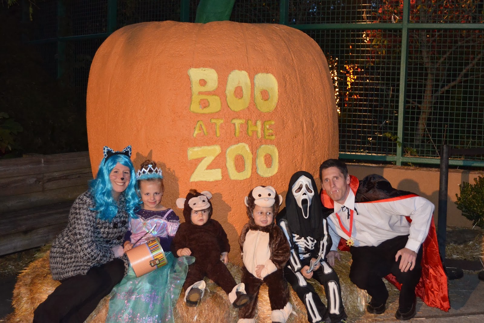 Snake & Snails, Sugar & Spice..The Galbraith Tales Boo at the Zoo in