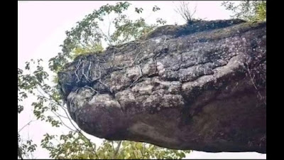 Giant Snake Scale Stone Found In Naka Cave Thailand In English 