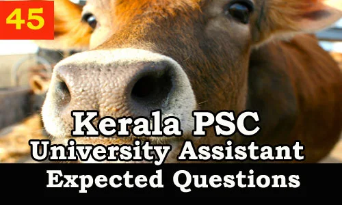 Kerala PSC : Expected Question for University Assistant Exam - 45