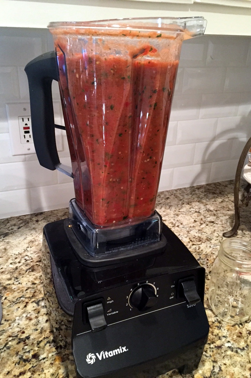 Live and Learn From the Kitchen Homemade Salsa (Vitamix!)
