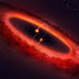 ALMA Discovers a Binary Star System with Polar Protoplanetary Disk