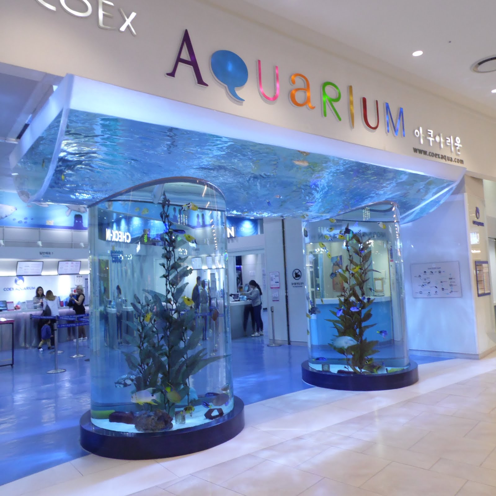 Coex Aquarium