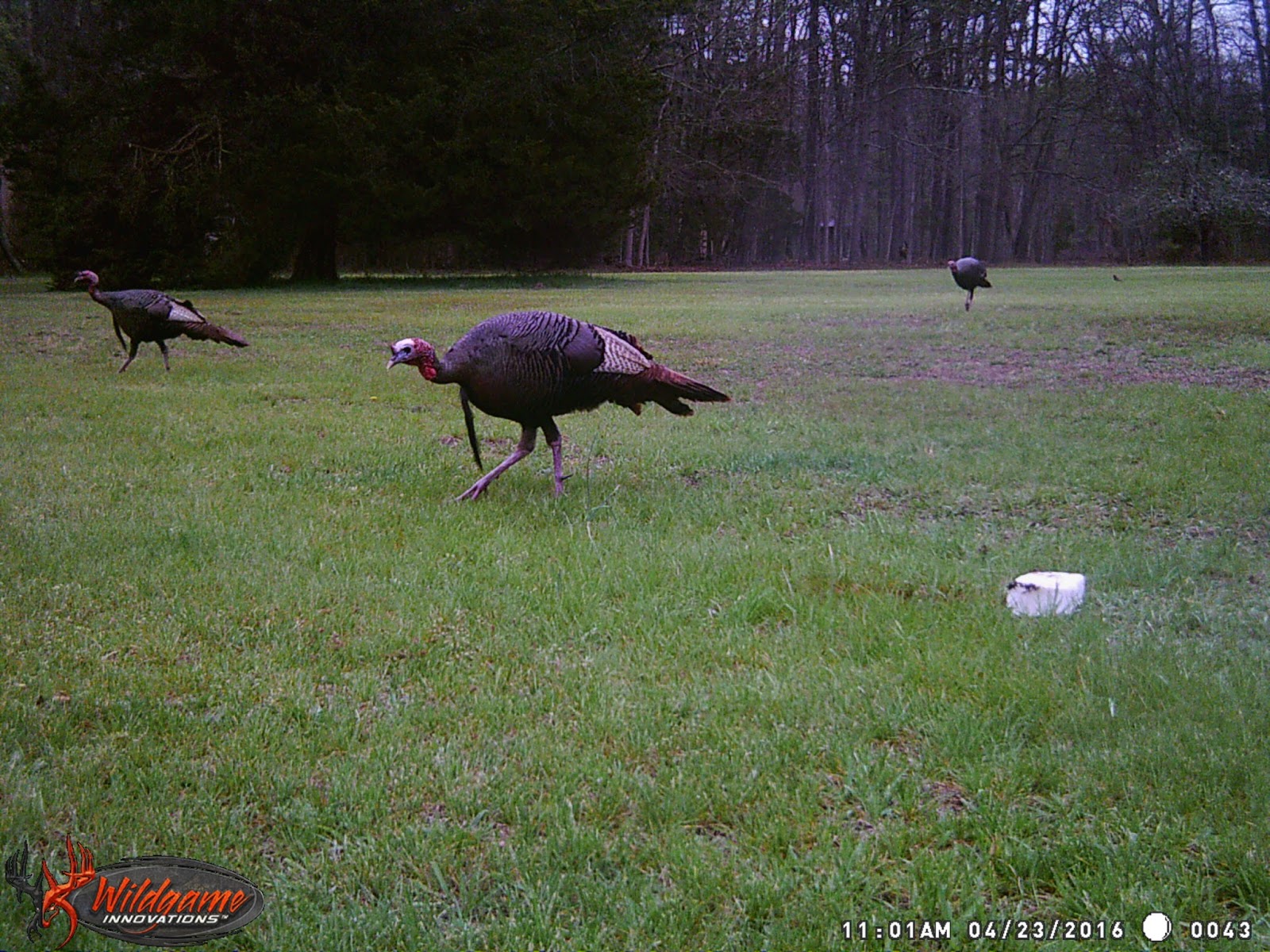 NJ Hunting Guide Its Turkey Time
