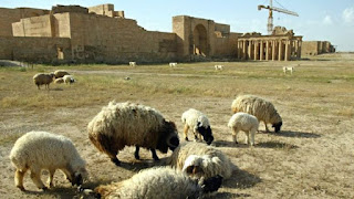 العراق: قوات الحشد الشعبي تقول إنها "حررت" مدينة الحضر الأثرية