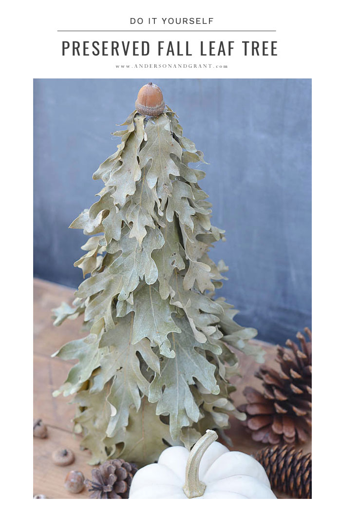 DIY Green Oak Leaf Tree Great DIY project for fall using preserved leaves to create a layered leaf tree.