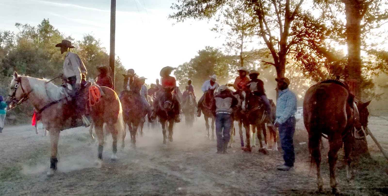 Living Rootless Louisiana Plaisance The StepnStrut Trail Ride