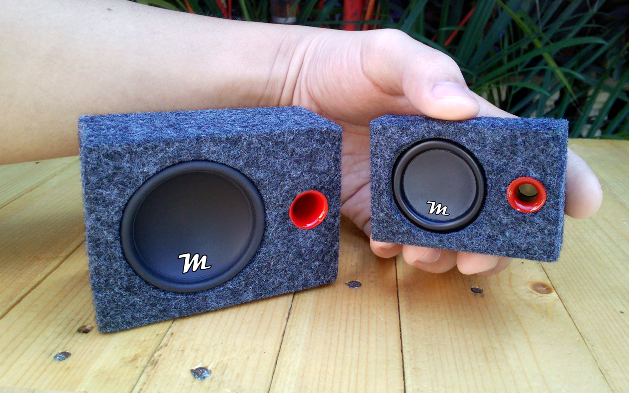 DIY Mini Subwoofer Mini Subwoofer Extreme Bass Test 2020