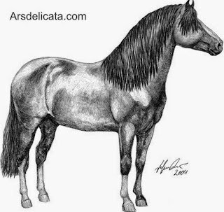 imagenes-de-dibujos-de-caballos