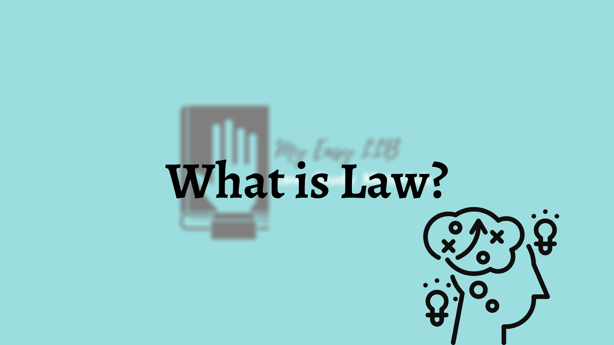 Introduction to Law What is Law?