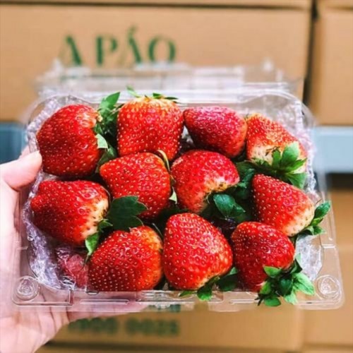 Dâu Tây Sữa A Páo sz M - 1kg 16 c6983afa 7426 428d 811b 4f0da5eafcc1 2