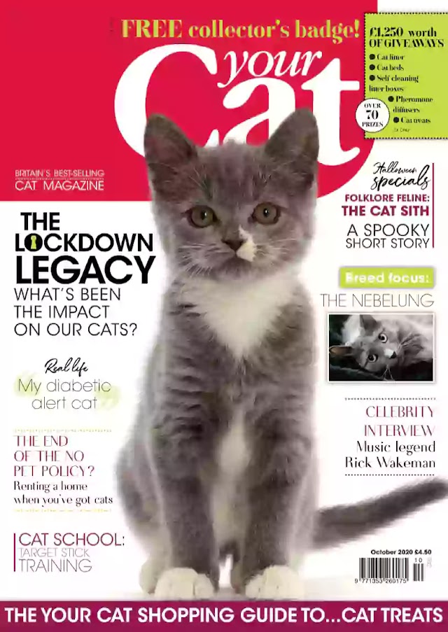 Download Majalah Your Cat Edisi October 2020